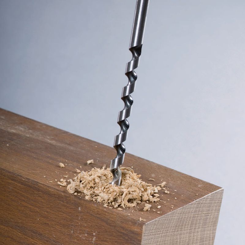broca_lewis_madera_cv_holz_alpen_2_9